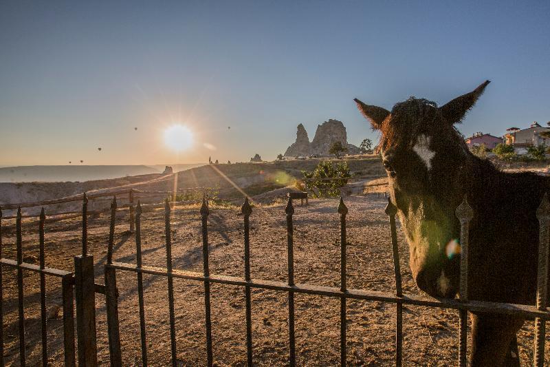 Karlik Evi Hotel - Special Category Üchisar Bagian luar foto